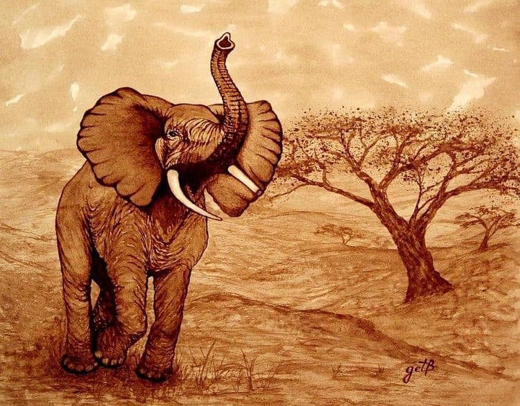 African Elephant Sepia