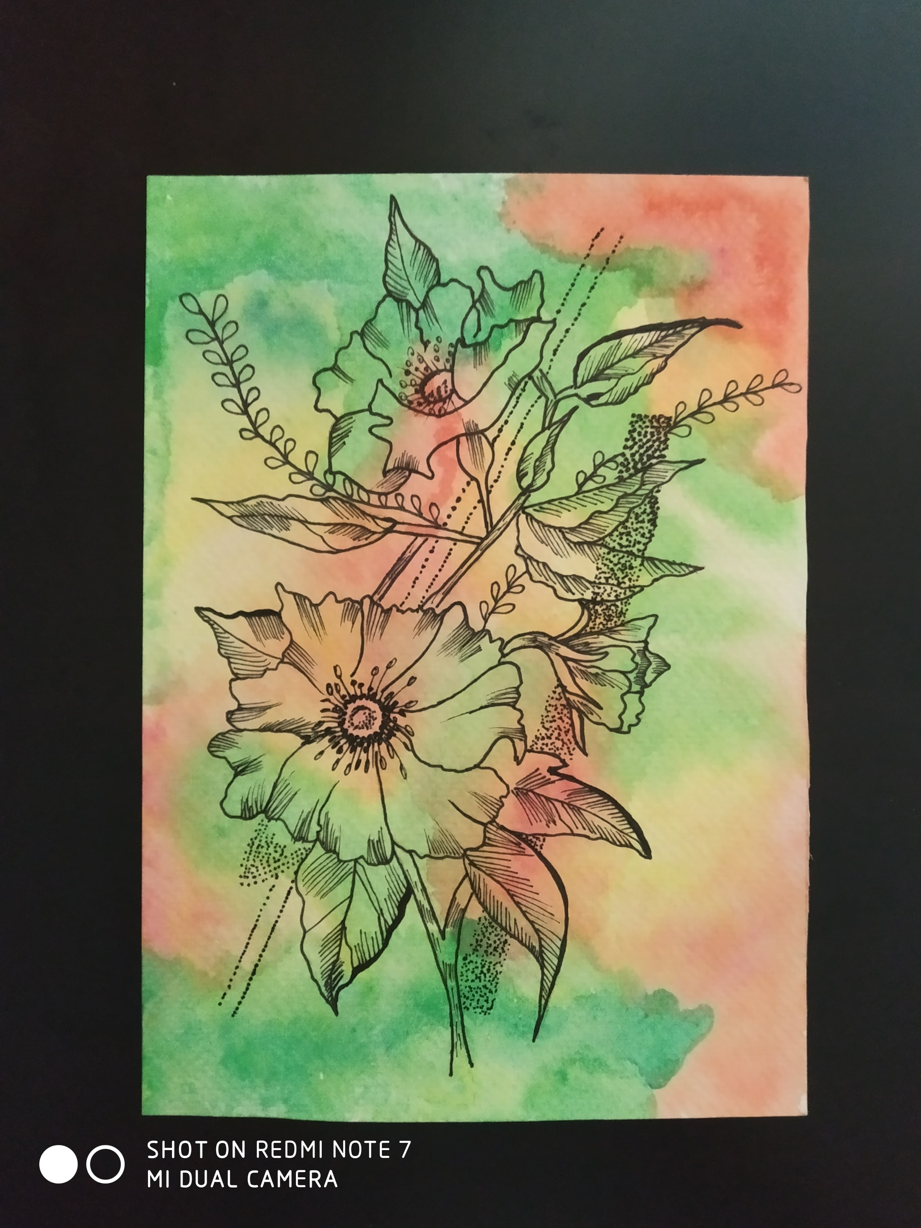 Poppies Rainbow Wash