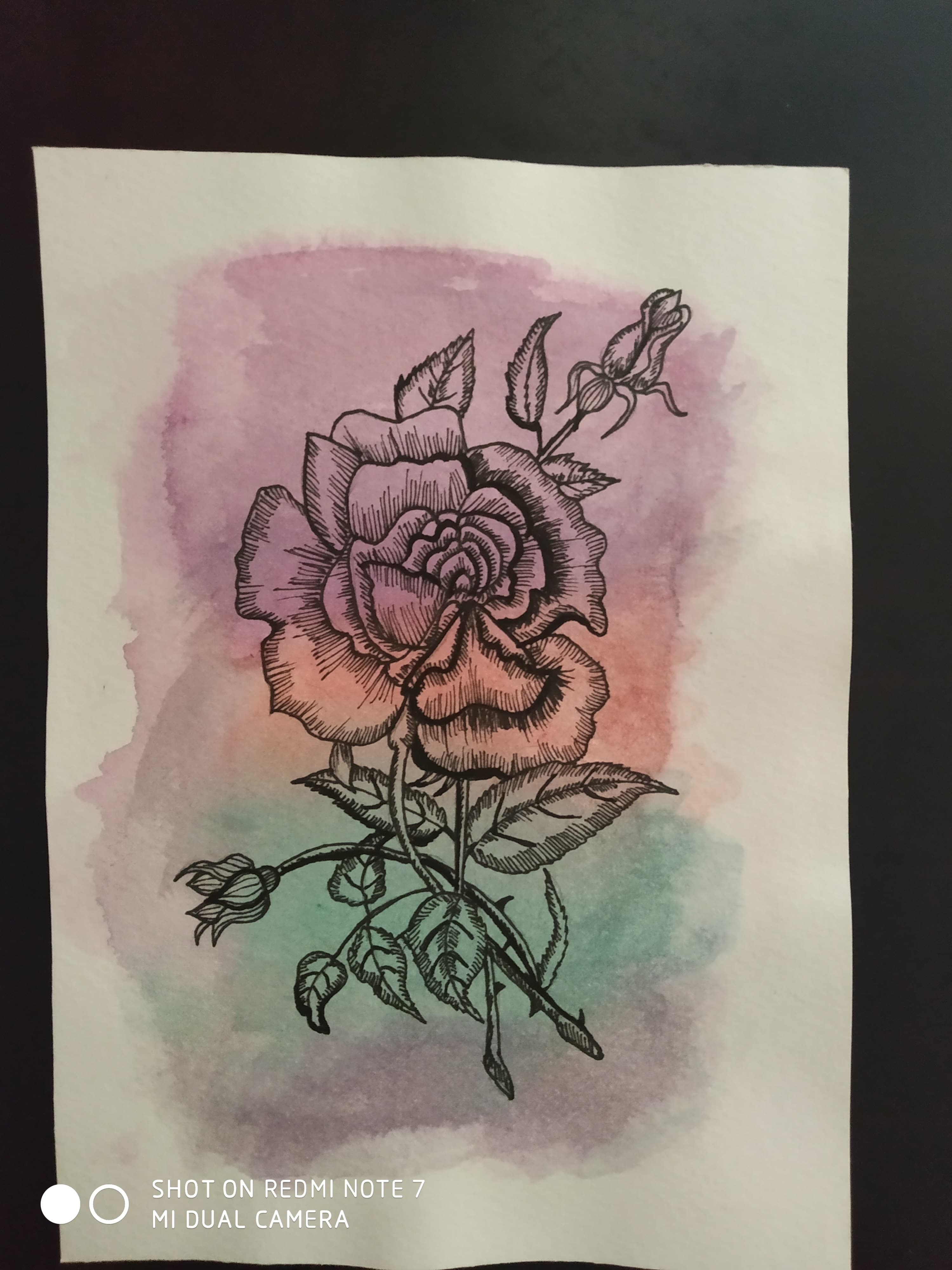 Rose with Purple Wash
