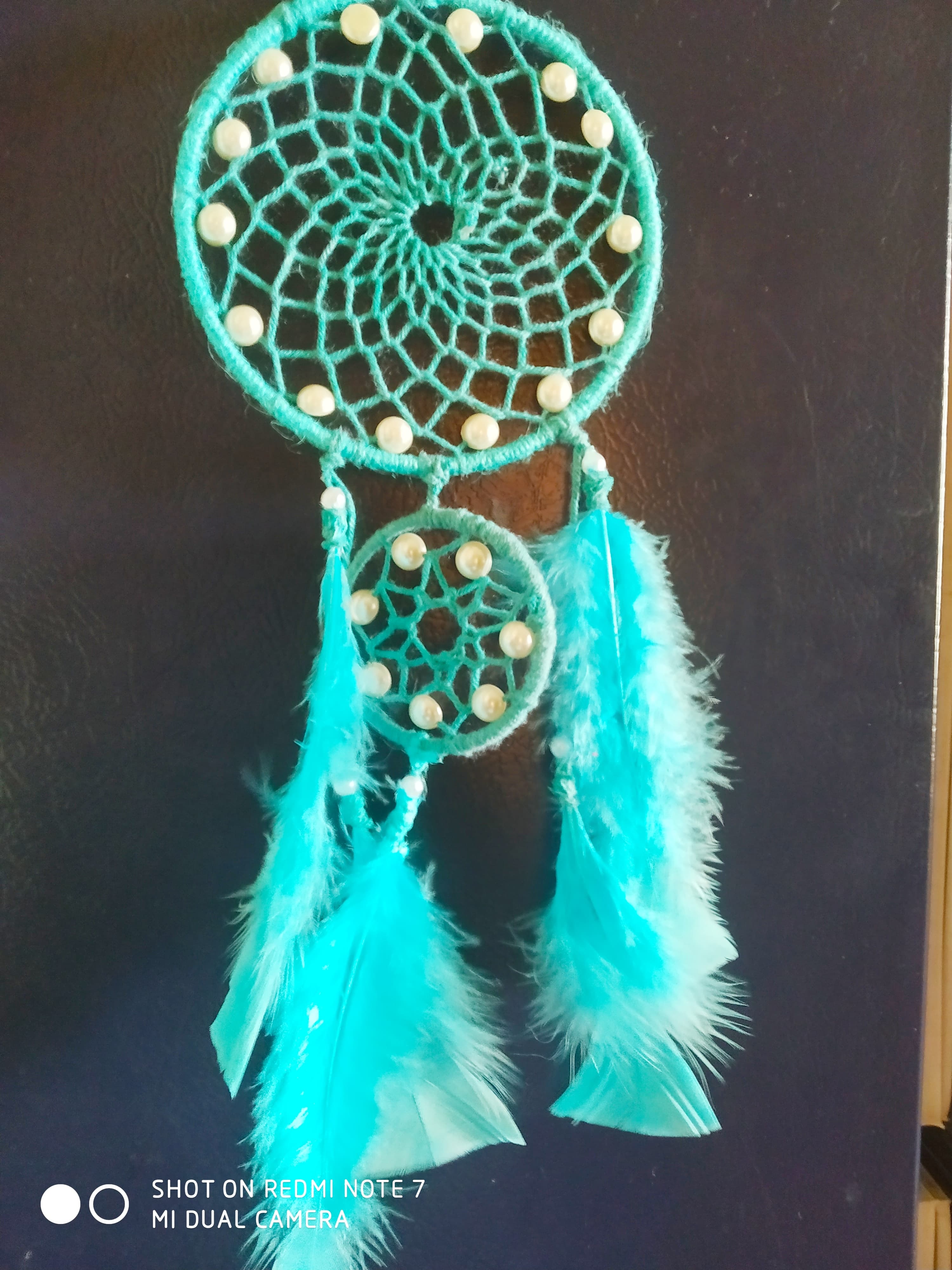 Dream Catcher Turquoise Double Hoop