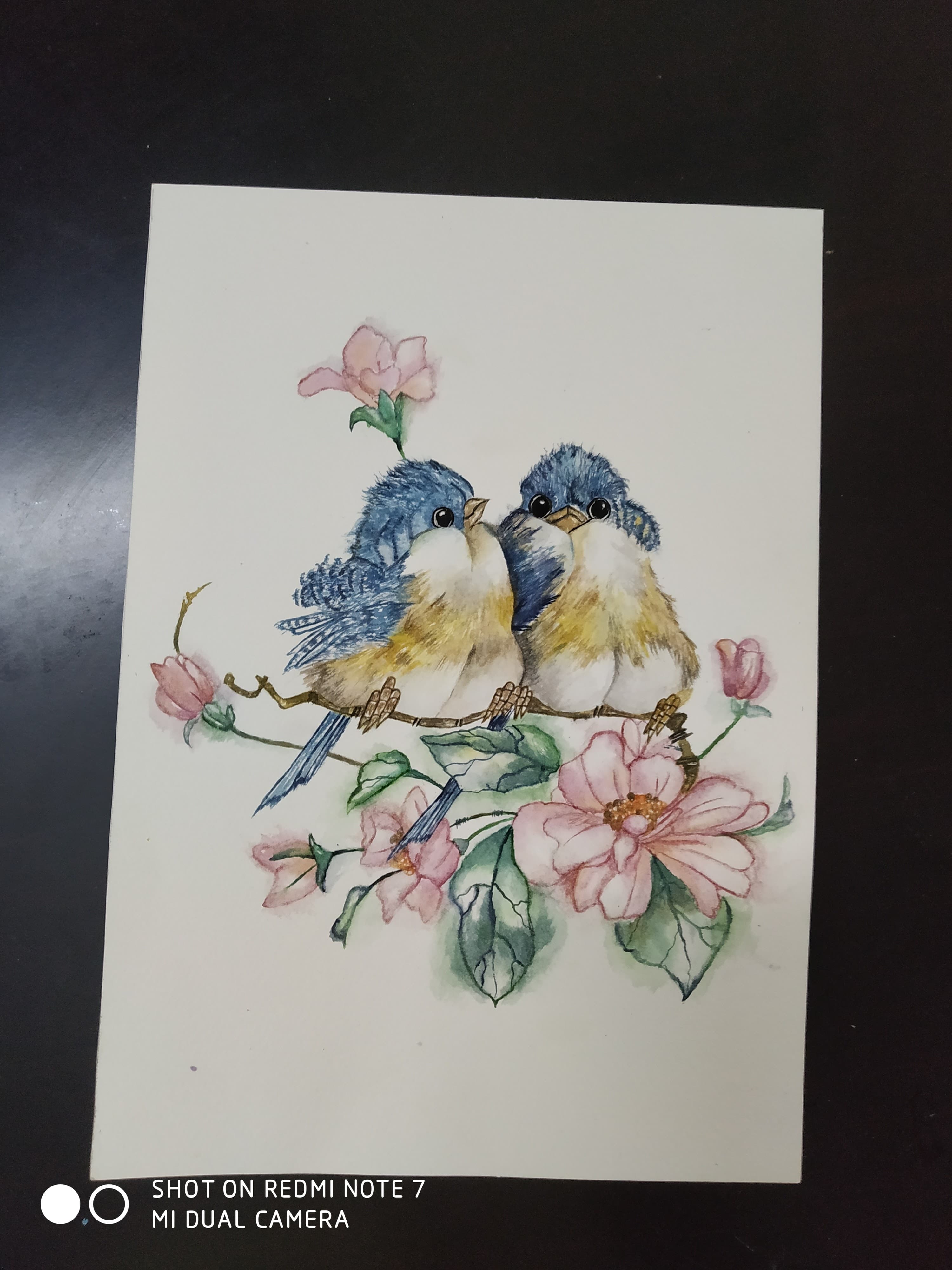 Lovebirds on Cherry Blossoms